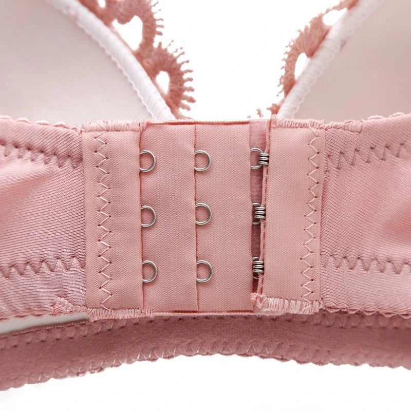 Shopping Wears Bridal Bra Set